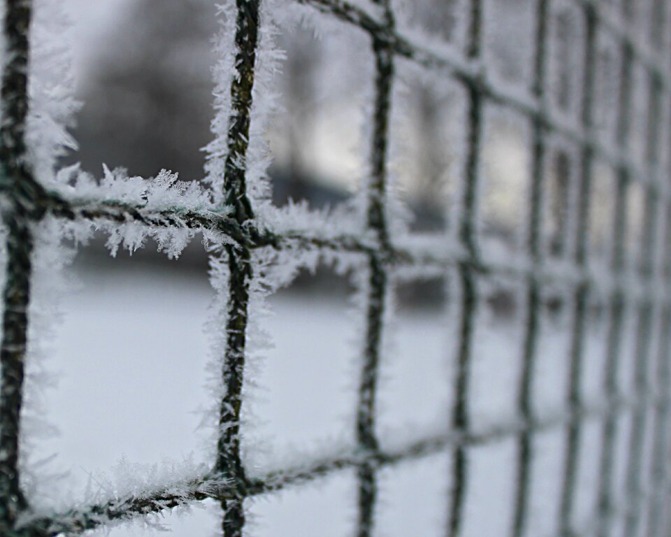White frost fence