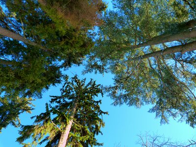 Sky blue contrast