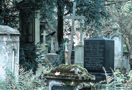 Grave stones graves old