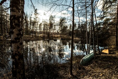 View nature reflection from the water photo