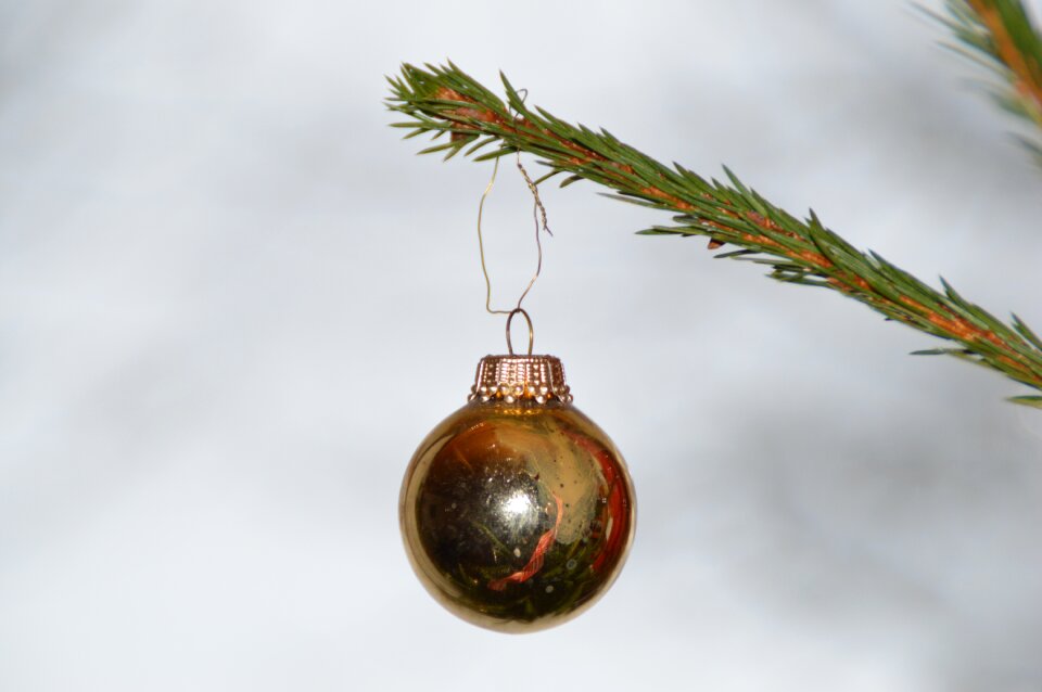 Christmas christmas tree christmas decorations