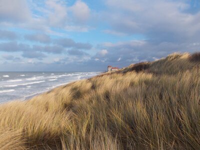 Beach bray-dunes dune merchant photo