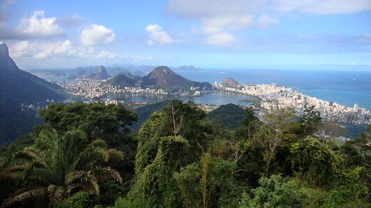 South america jungle sea