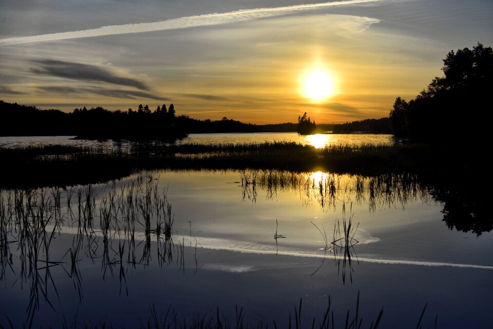 Marsh twilight nature