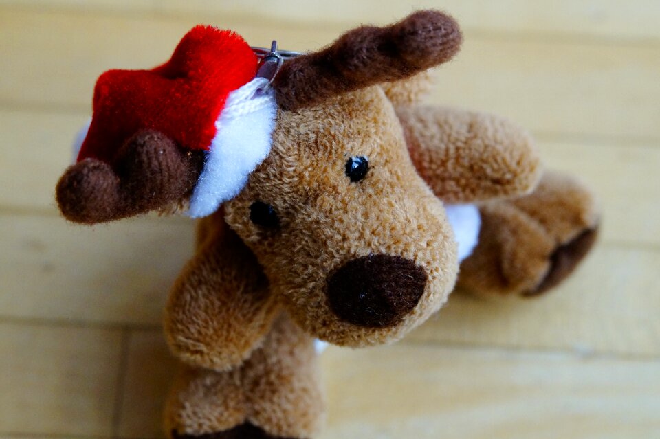 Mascot soft toy teddy bear