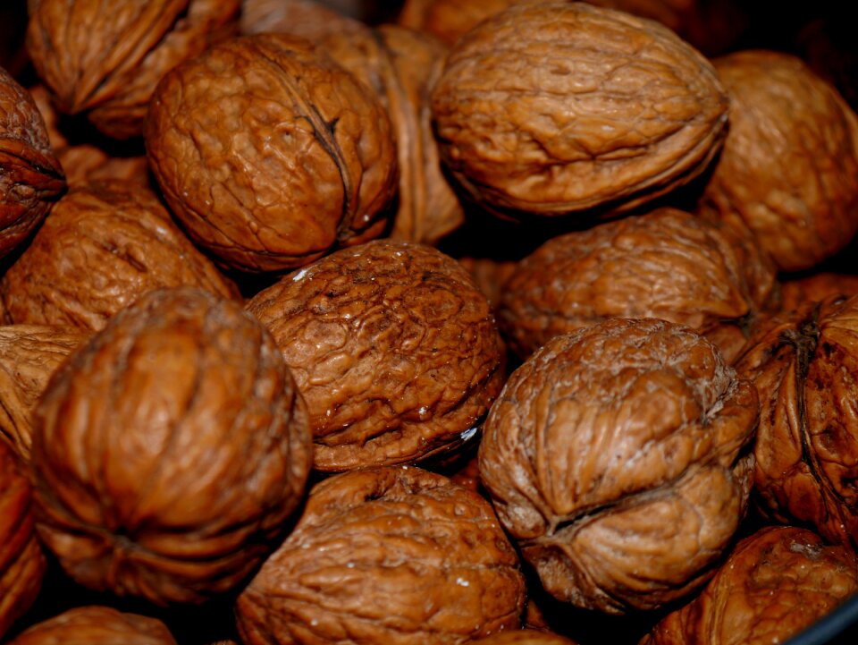 Nuts food eat