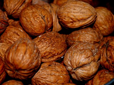 Nuts food eat