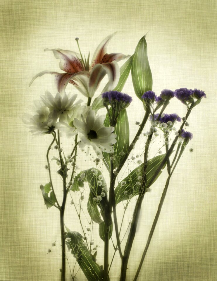 Spring decorative blossom