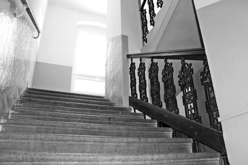 Railing black and white path
