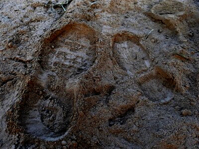 Dirt walking shoe photo