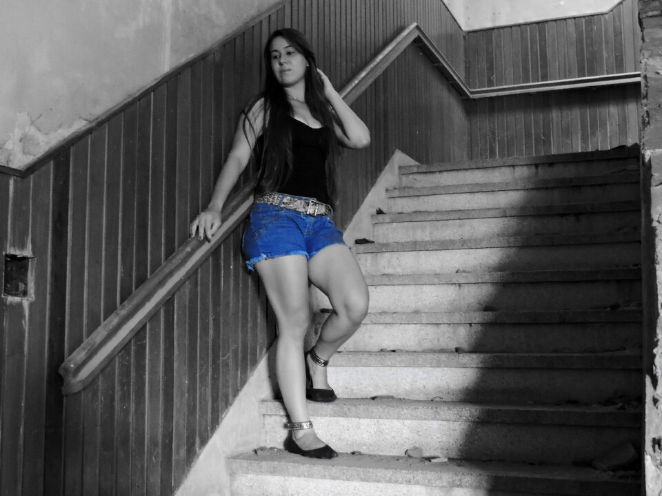 Linda model ladder