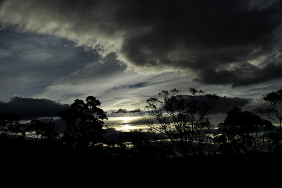 Nature scene evening