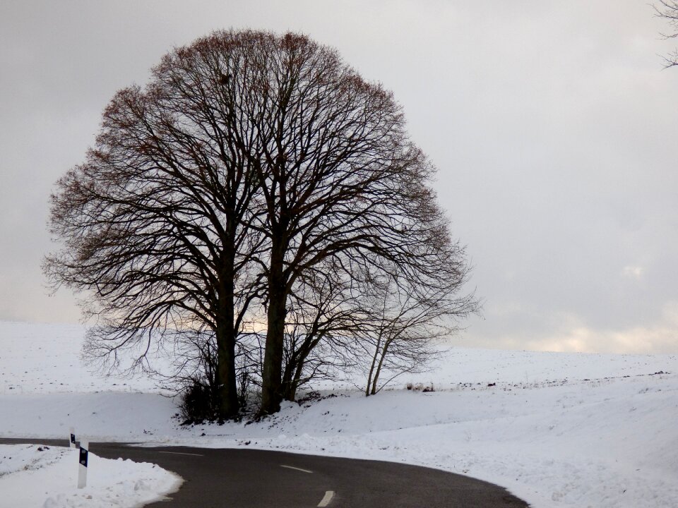 Winter winter landscape white