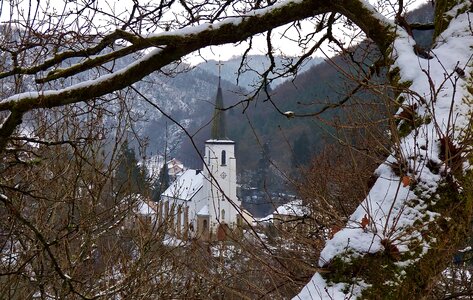 Hills tree kautenbach