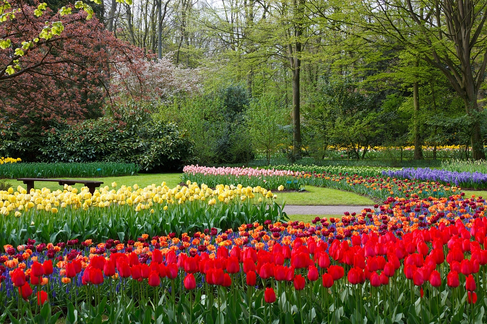 Colorful green flora