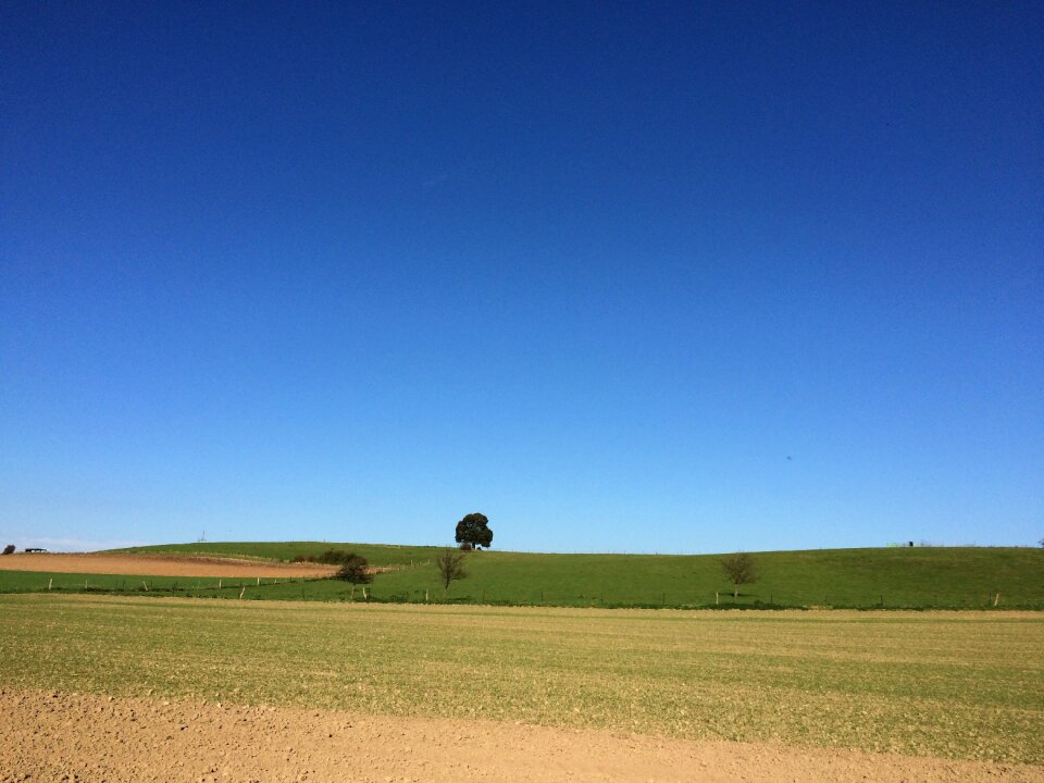 Field sky blue