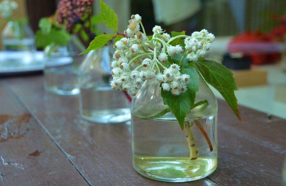 Bouquet decor flora