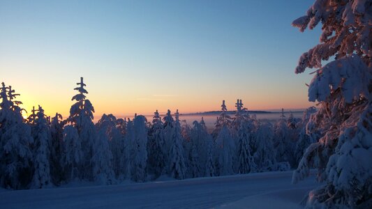 Winter landscape finnish frosty landscape photo