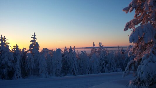 Winter landscape finnish frosty landscape