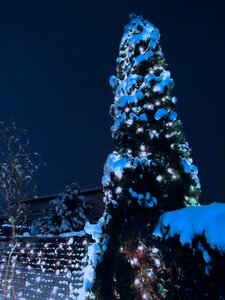 Christmas christmas lights snow photo