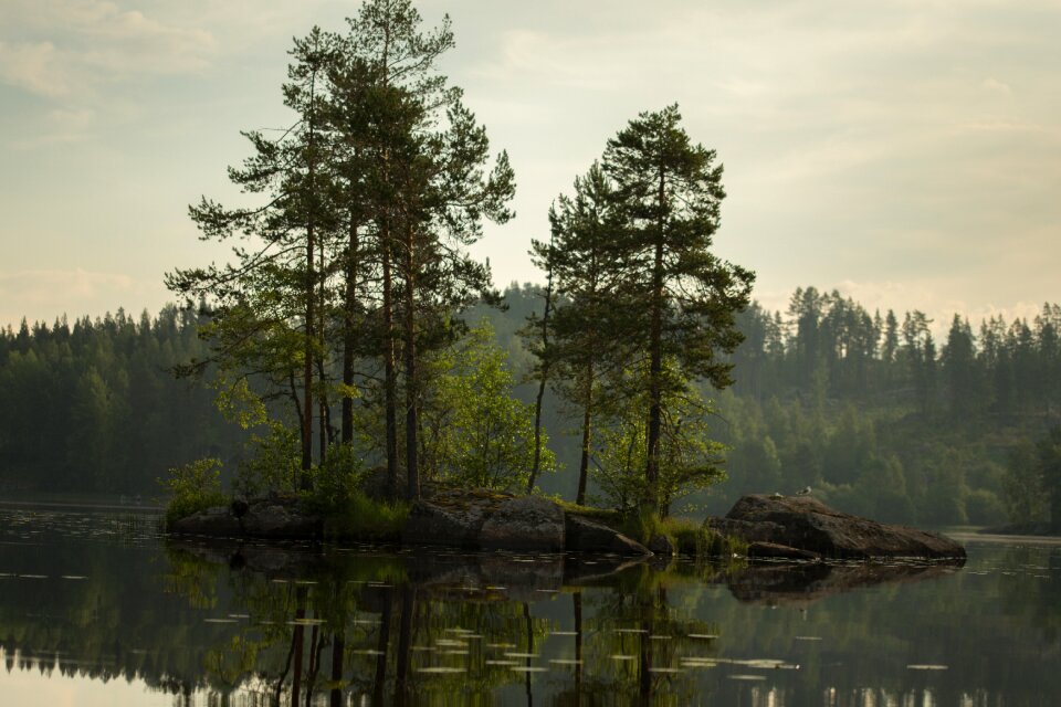 Beach lake in finland lake