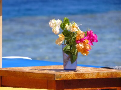 Jar flowers mar