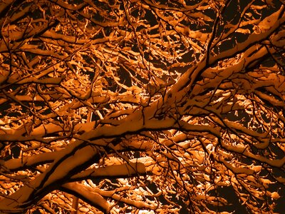 Aesthetic backlighting winter magic