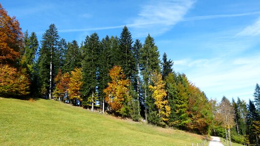 Mountain nature forest nature