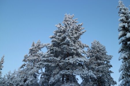 Blue sky nature finnish photo