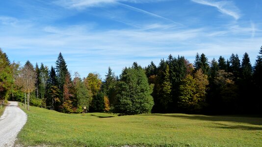 Mountain nature forest nature