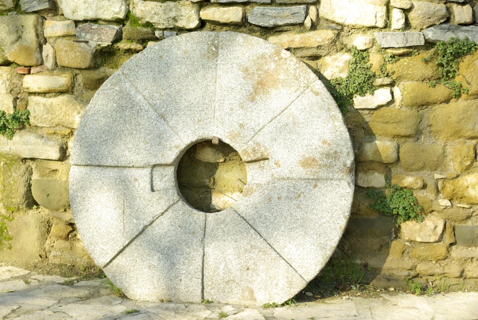 Windmill wheel flour