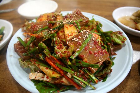 Busan dotorimuk korean food photo