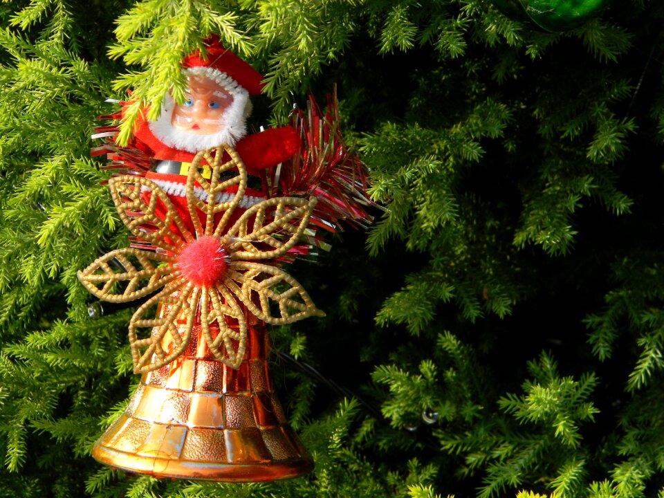 Decoration xmas celebration