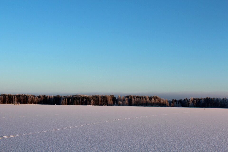 The skyline winter landscape frosty forest