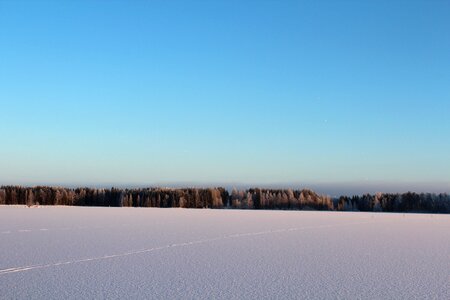 The skyline winter landscape frosty forest photo