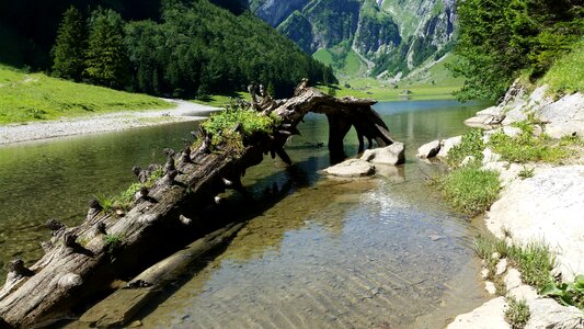 Lake nature alpine photo