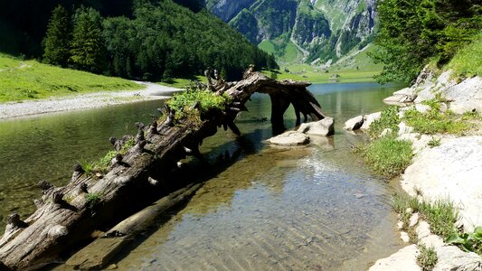 Lake nature alpine