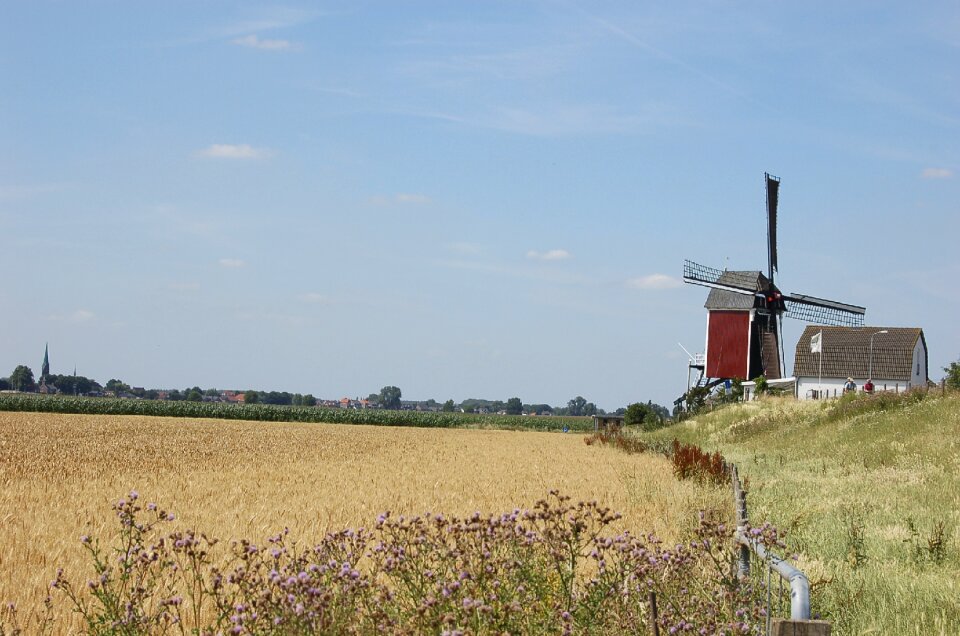 Landscape netherlands holland