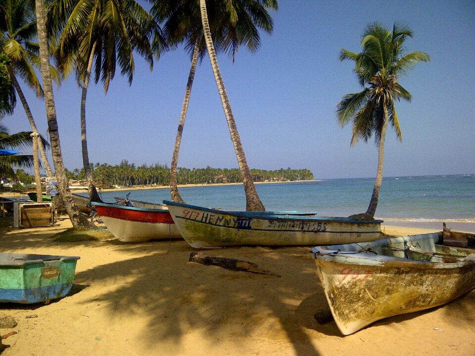 Island nature boats