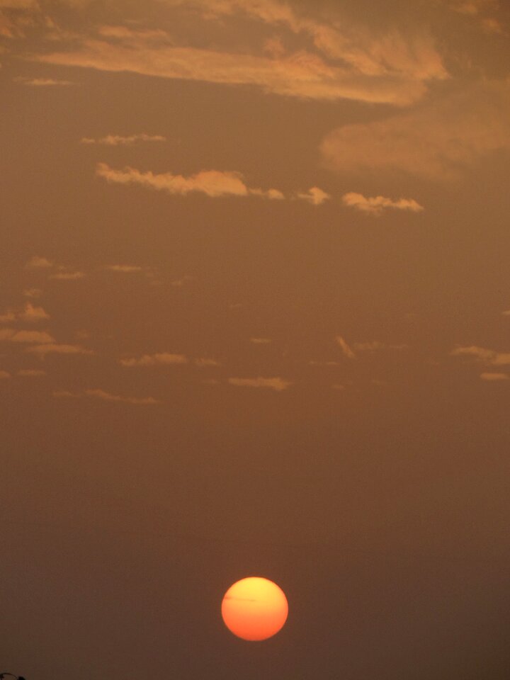 Orange nature scene