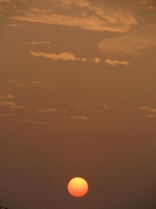 Orange nature scene
