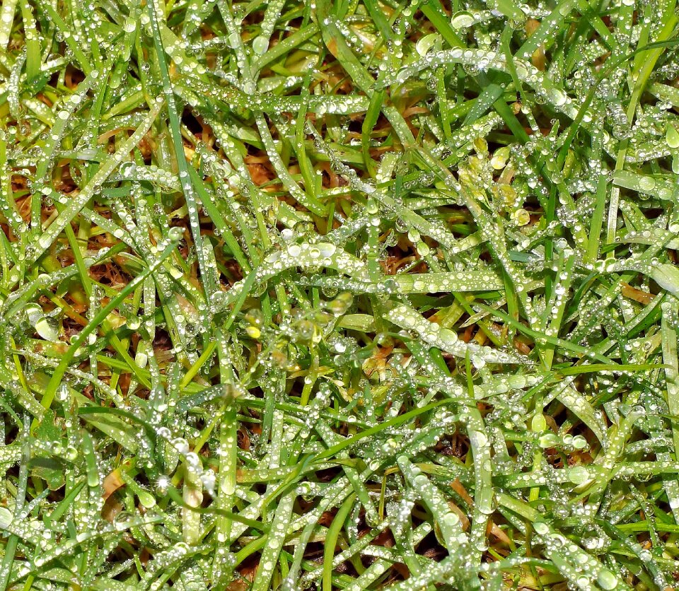 Winter melted drop of water