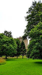 Castle green castle photo