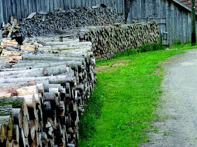 Nature firewood stack photo