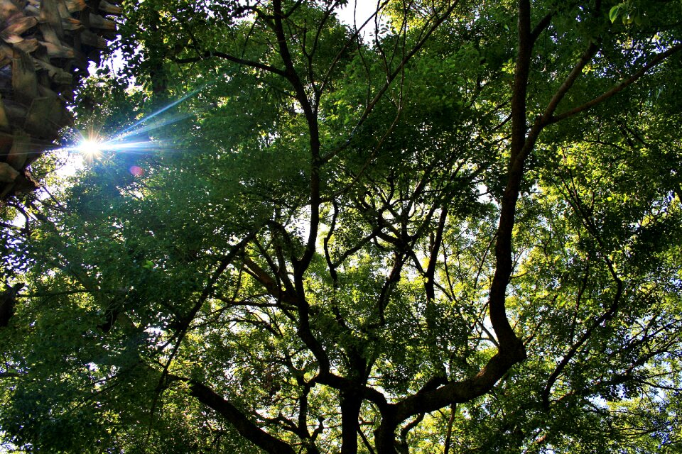 Spread out sun focus