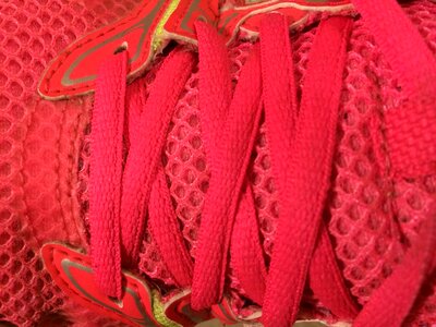 Shoe laces laces training