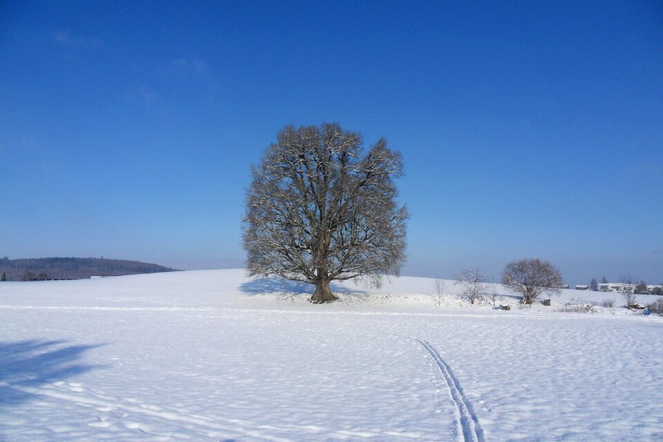 Winter landscape switzerland