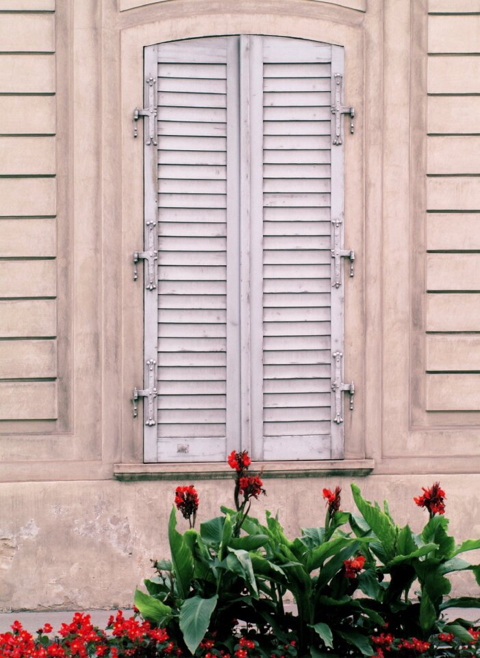 Shutter flowers vienna