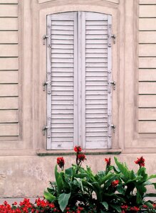 Shutter flowers vienna