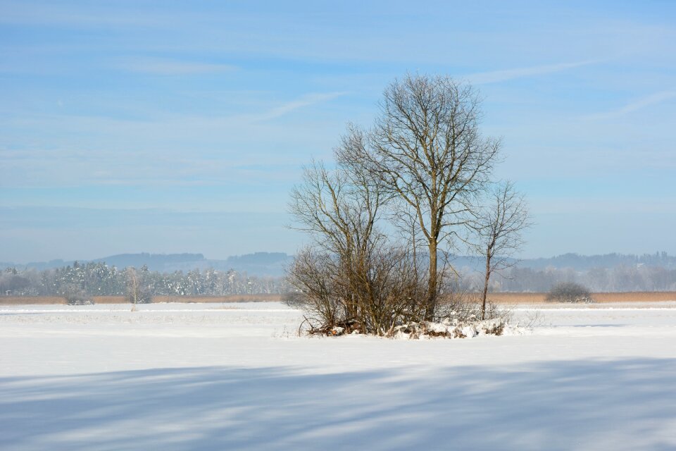 Wintry white snowy